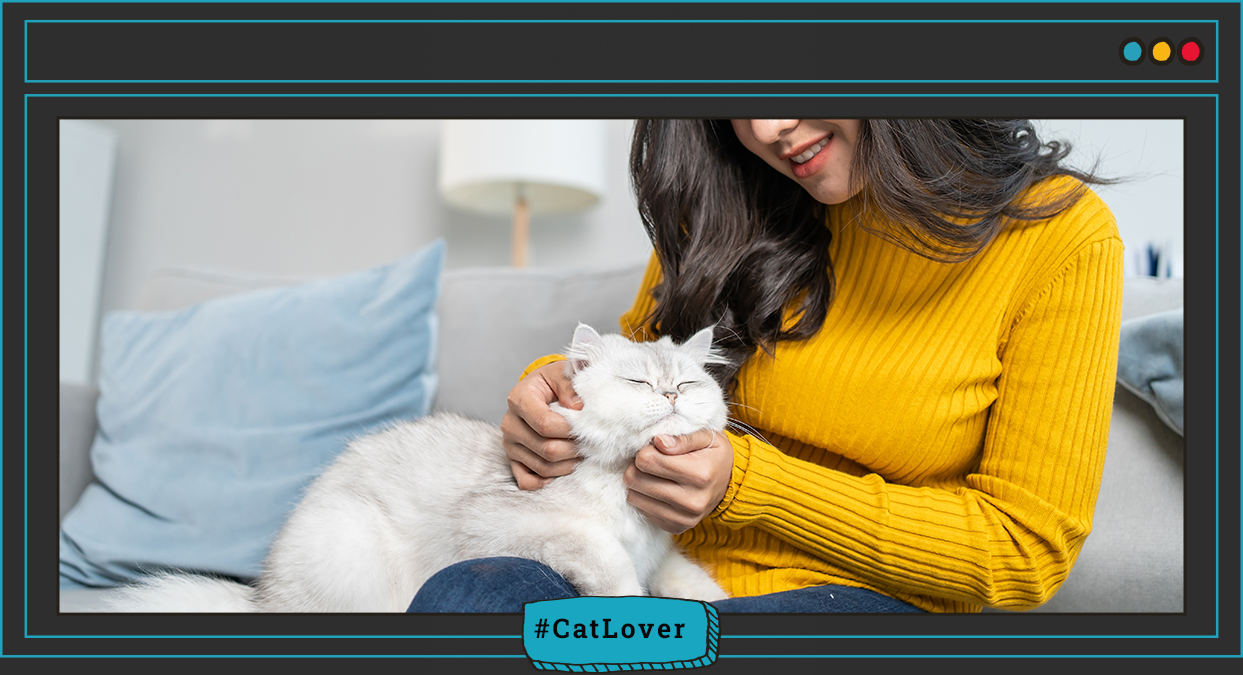 ¿Cómo saber si un gato está resfriado?,